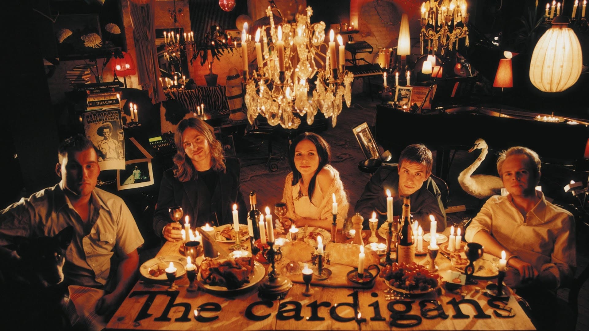 The Cardigans banner