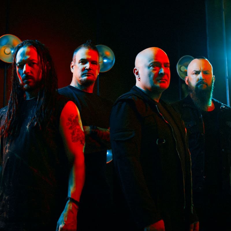 disturbed