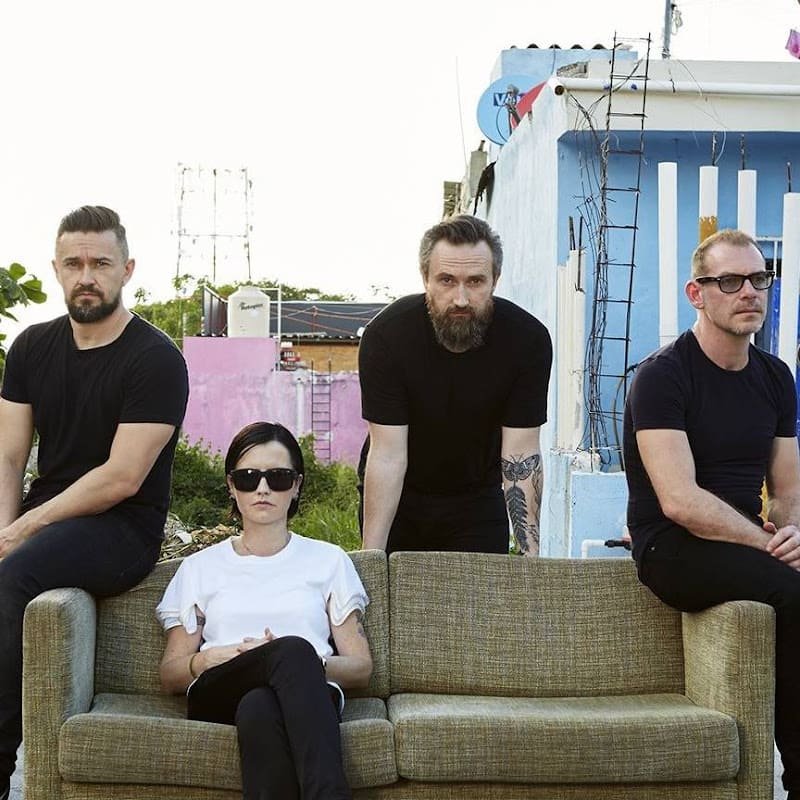 the cranberries